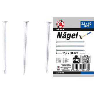 BGS Do it yourself Nagel-assortiment 200 gram 2,5 x 50 mm