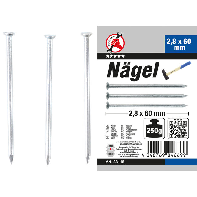 BGS Nagel-assortiment 250 gram 2,8 x 60 mm