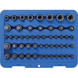 BGS technic Bit- en dopsleutelset Torx 52 delig