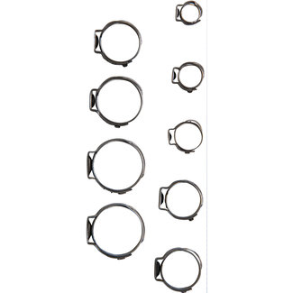 BGS technic Roestvrij stalen slangklemmen assortiment 5,8 - 21 mm 170 delig