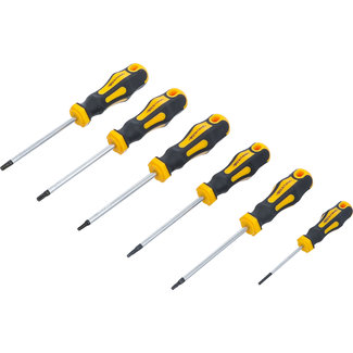 BGS Do it yourself Schroevendraaierset Torx T10 - T30 6 delig