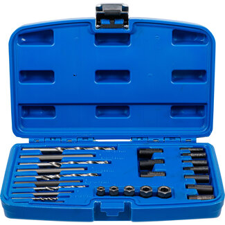 BGS technic HSS schroefuitdraaiset 25 delig