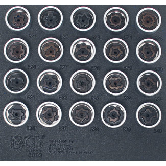 BGS technic Velgenslot demontageset voor VAG 20 delig