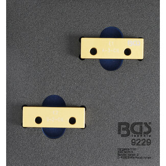 BGS technic Nokkenas afstelgereedschapsset voor Lancia 2.4 20V