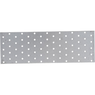 BGS Do it yourself Gaatjesstrip staal 300 x 100 x 2 mm