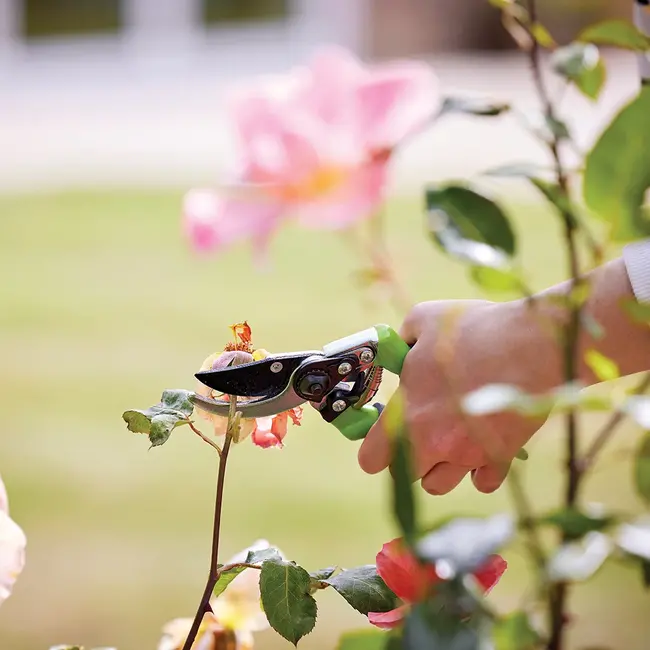 Silverline Snoeischaar 220 mm