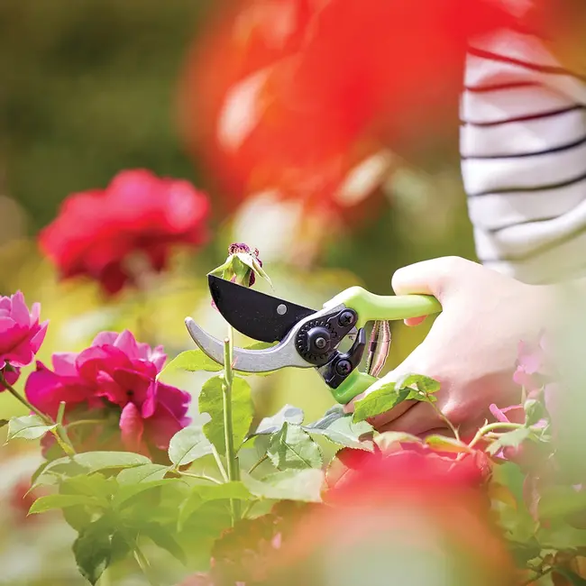 Silverline Snoeischaar 220 mm