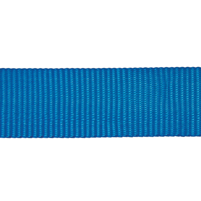 Silverline S-haak ratel sjorband 4,5 m x 23 mm, vermogen 250 kg, capaciteit 500 kg