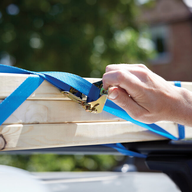 Silverline S-haak ratel sjorbanden set, 4 pak 4 m x 25 mm, vermogen 350 kg, sjorkracht 700 kg