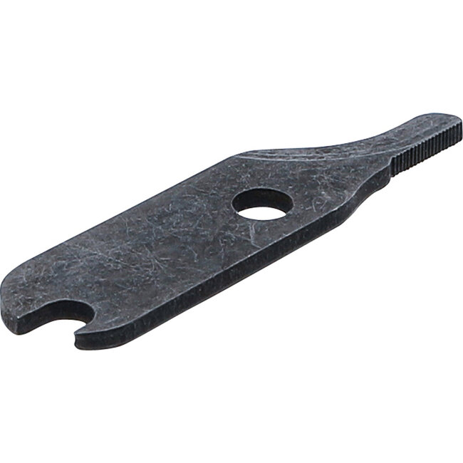 BGS Reserve pons voor BGS knabbelschaar