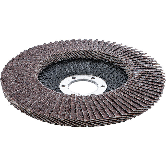 BGS Lamellenslijpschijf 125 mm, korrel 40