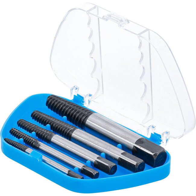 BGS Schroeven uitdraaiset maten 1 - 5, 5 delig