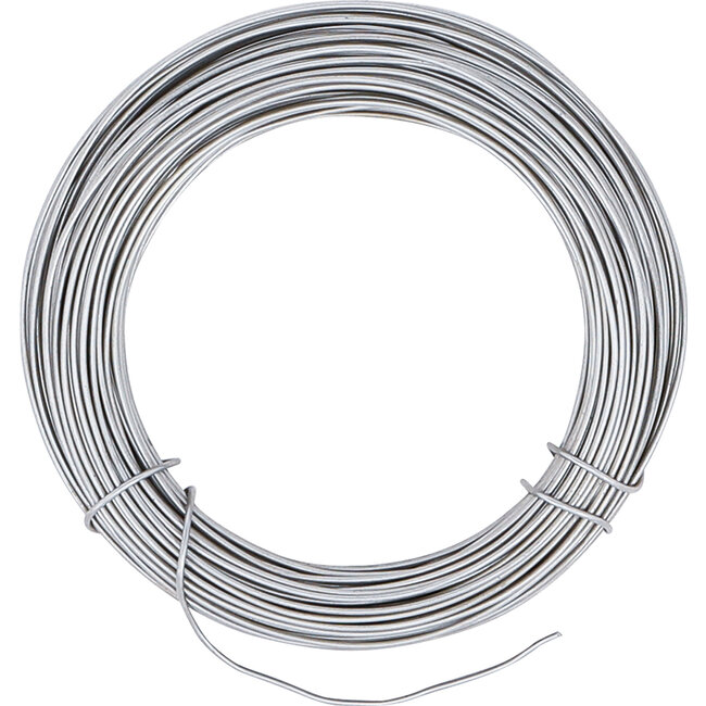 BGS Borgdraad 15 meter roestvrij staal