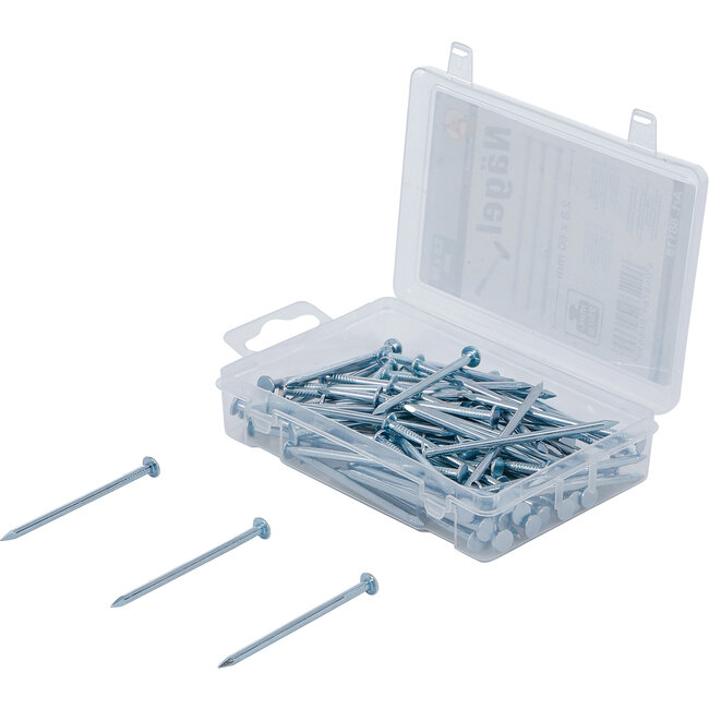 BGS Nagel-assortiment 250 gram 2,8 x 60 mm