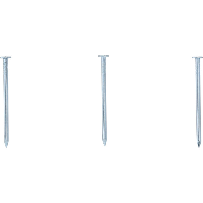 BGS Nagel-assortiment 250 gram 2,8 x 60 mm