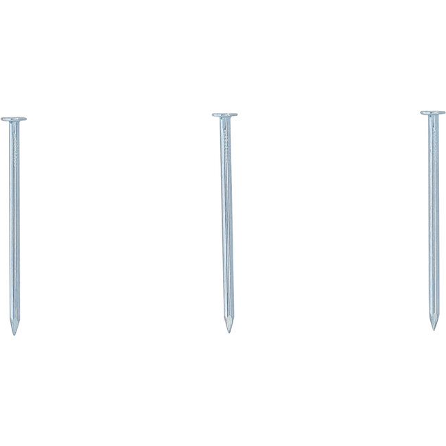 BGS Nagel-assortiment 200 gram 2,5 x 50 mm