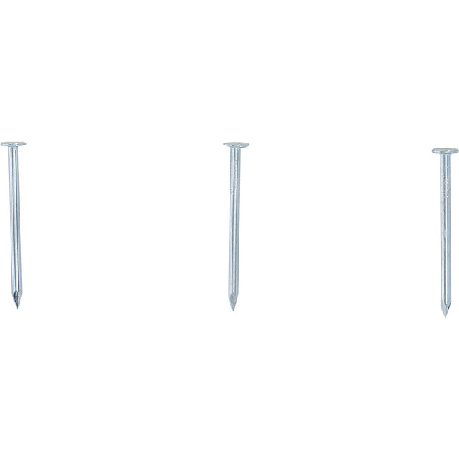 BGS Nagel-assortiment 200 gram 2,5 x 40 mm