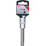 BGS Dopsleutelbit lengte 100 mm 1/2" wigprofiel (voor RIBE) M12