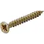 BGS Multischroeven - kruiskop PZ2 - 3,5 x 30 mm - 250 stuks