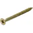 BGS Multischroeven - kruiskop PZ2 - 4,0 x 50 mm - 125 stuks