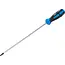BGS Schroevendraaier - Torx T25 - Meslengte 250 mm