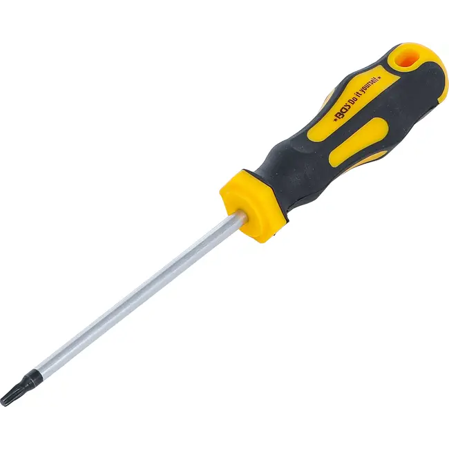 BGS Schroevendraaier - Torx T15 - Meslengte 100 mm