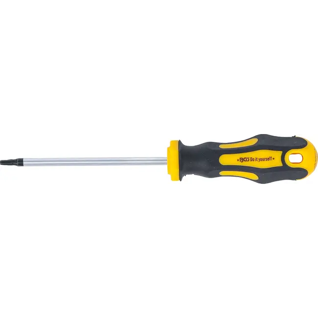 BGS Schroevendraaier - Torx T15 - Meslengte 100 mm