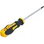 BGS Schroevendraaier - Torx T15 - Meslengte 100 mm