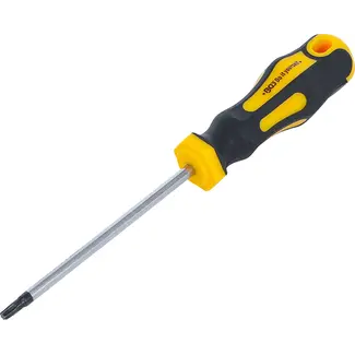 BGS Do it yourself Schroevendraaier - Torx T20 - Meslengte 100 mm