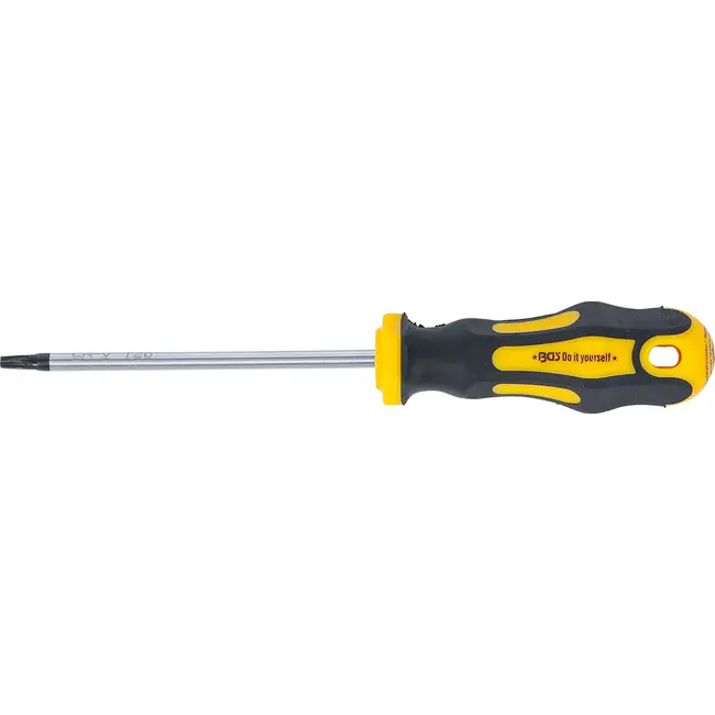 BGS Schroevendraaier - Torx T20 - Meslengte 100 mm