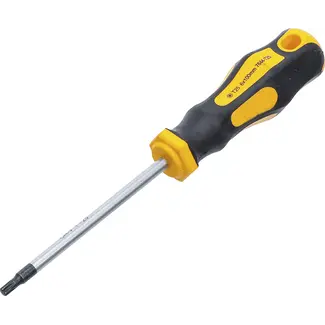 BGS Do it yourself Schroevendraaier - Torx T25 - Meslengte 100 mm