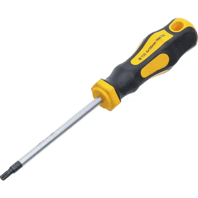 BGS Schroevendraaier - Torx T25 - Meslengte 100 mm