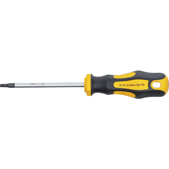 BGS Schroevendraaier - Torx T25 - Meslengte 100 mm