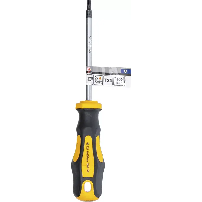 BGS Schroevendraaier - Torx T25 - Meslengte 100 mm