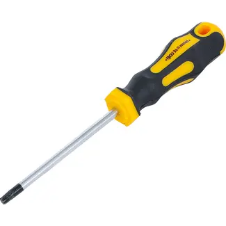 BGS Do it yourself Schroevendraaier - Torx T30 - Meslengte 100 mm