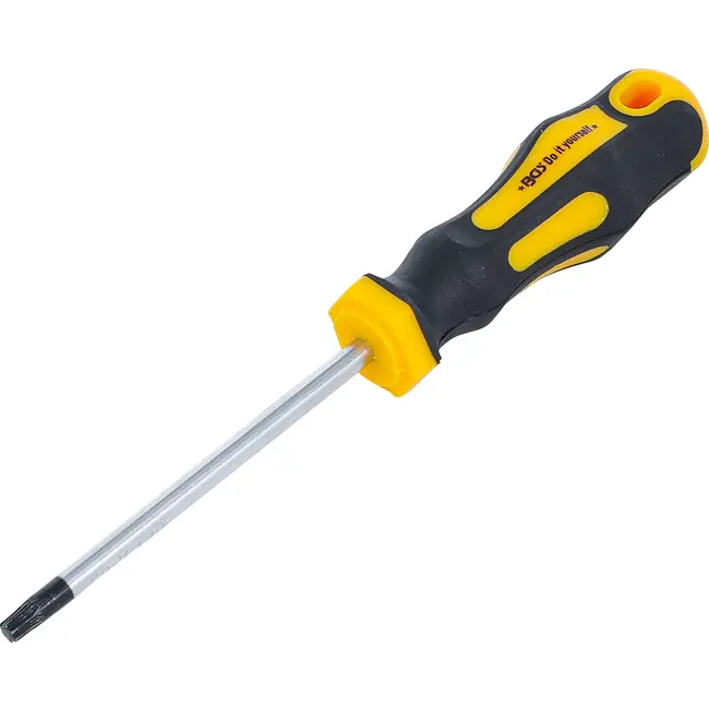 BGS Schroevendraaier - Torx T30 - Meslengte 100 mm