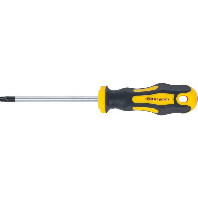 BGS Schroevendraaier - Torx T30 - Meslengte 100 mm