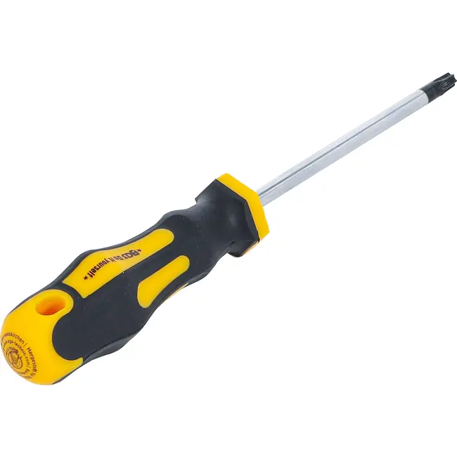 BGS Schroevendraaier - Torx T30 - Meslengte 100 mm