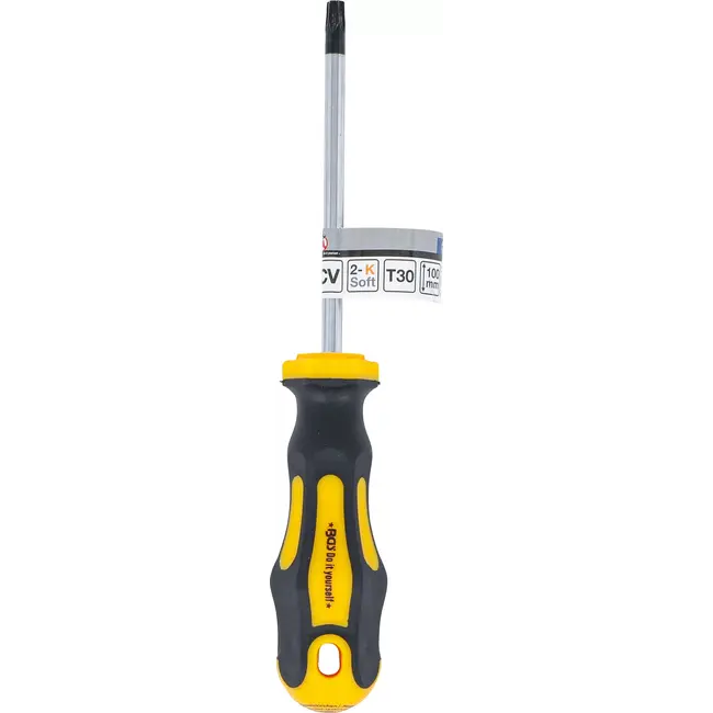 BGS Schroevendraaier - Torx T30 - Meslengte 100 mm