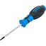 BGS Schroevendraaier - Torx met boring T10 - Meslengte 80 mm