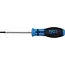 BGS Schroevendraaier - Torx met boring T25 - Meslengte 100 mm