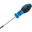 BGS Schroevendraaier - Torx met boring T27 - Meslengte 100 mm