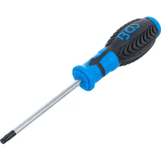 BGS technic Schroevendraaier - Torx met boring T30 - Meslengte 100 mm