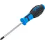 BGS Schroevendraaier - Torx met boring T30 - Meslengte 100 mm