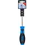 BGS Schroevendraaier - Torx met boring T30 - Meslengte 100 mm