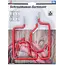 BGS Assortiment schroefhaken - 8 delig