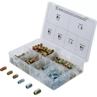 BGS technic Assortiment wartels en schroeven voor remleiding-schroefverbindingen - 135 delig