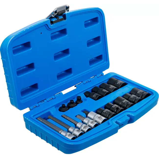 BGS Remklauwdopsleutel- en dopsleutelbitset - 17 delig