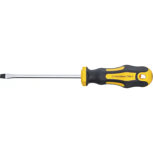 BGS Schroevendraaier - sleuf 5 mm - Meslengte 100