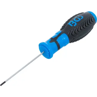 BGS technic Schroevendraaier - binnenzeskant 2 mm - Meslengte 75 mm